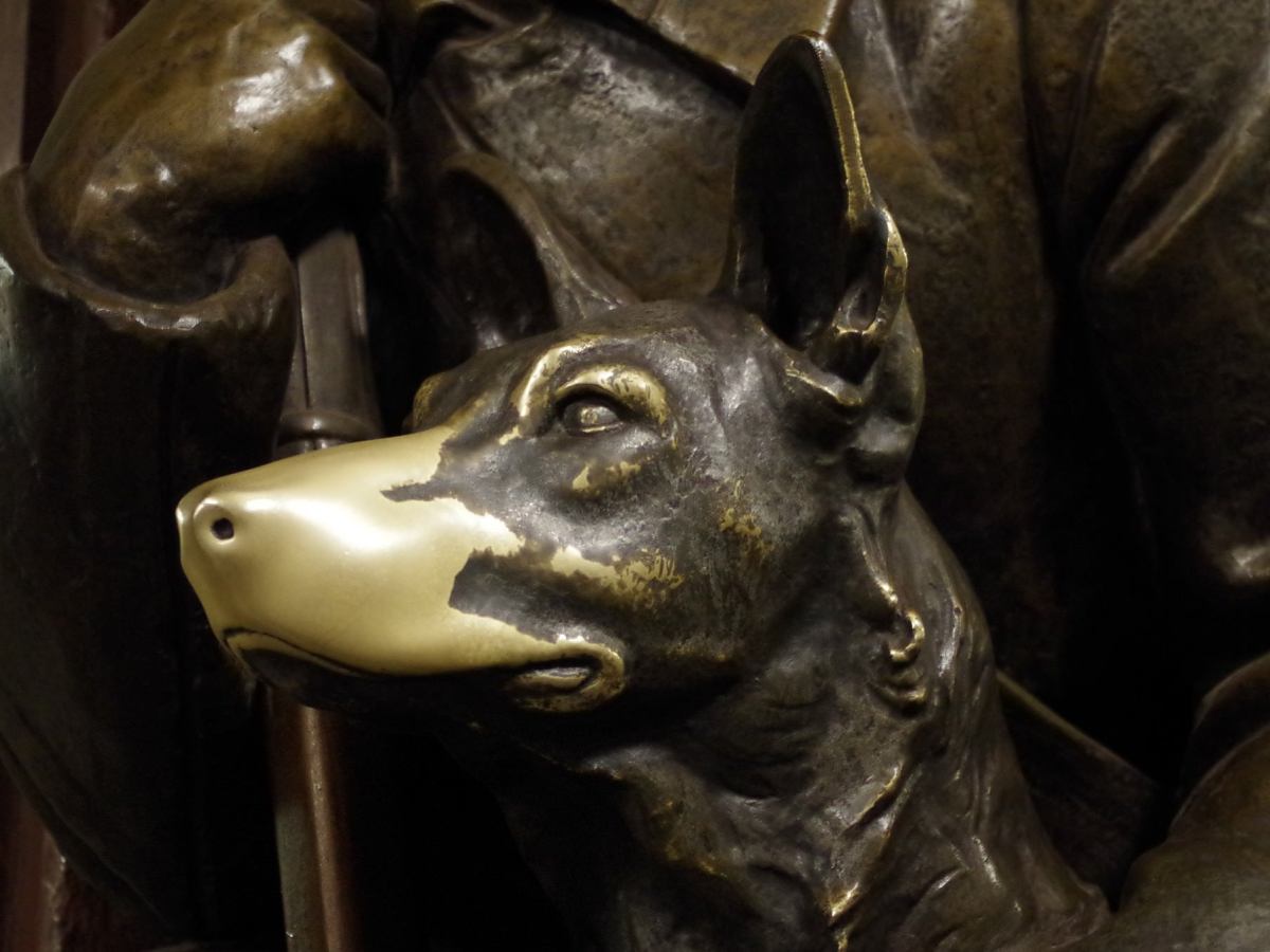 The Iron Harvest and Bronze Noses – Humanity’s Impact on the&nbsp;Landscape